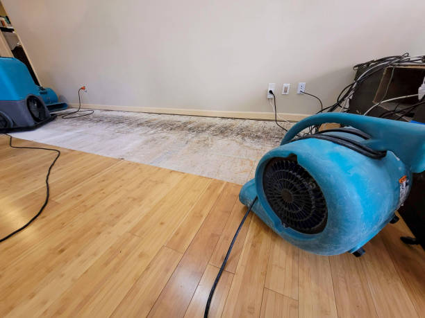 Professional Emergency Water Damage technician working in Santa Rosa Beach, FL